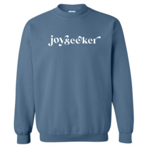 joyseeker crewneck sweatshirt in stone blue