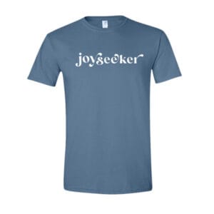 joyseeker t-shirt in stone blue color